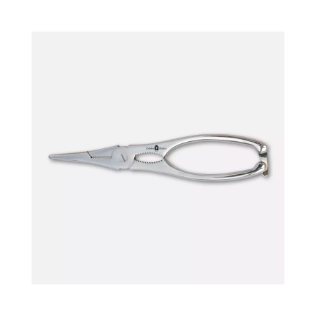 Shellfish, stainless steel