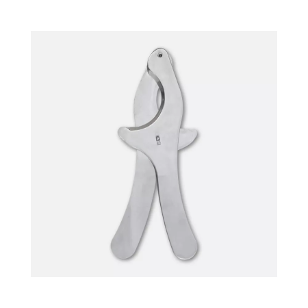 Sea urchin cutter in stainless steel