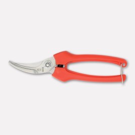 Pruning shears, french model