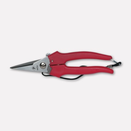 Flowers shears, plastic handles, pointed blades