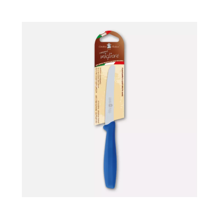 Table knife, blue handle – 11 cm