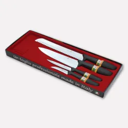 Set of 4 kitchen knives