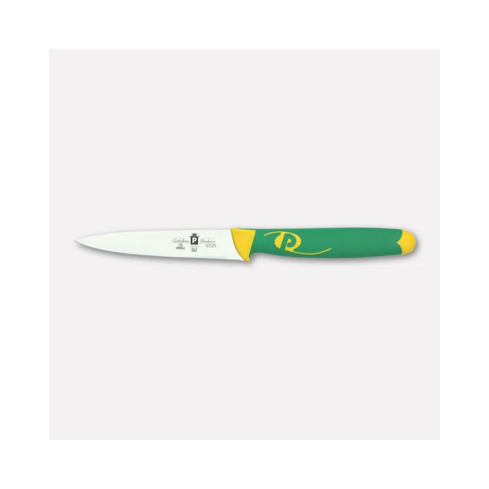 Paring knife - 10 cm