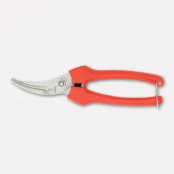 Pruning shears, French style